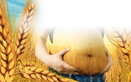 Once a blessing, modern wheat is now a threat to our health